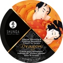 Стимулирующий крем Shunga Dragon сашет