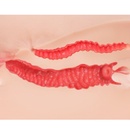 Мастурбатор-полуторс Maria Onahole