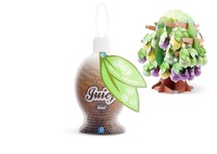 Topco Juicy, киви